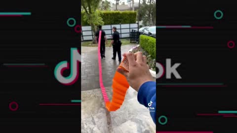 Funny Tiktok Videos 1