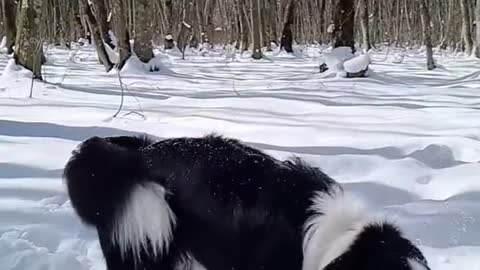 What a big mouthful of snow, do you freeze your mouth