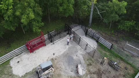 air view of cattle handling system