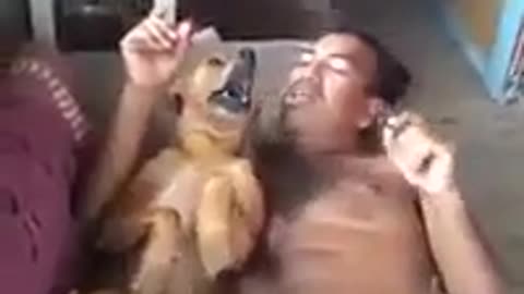 FUNNY VIDEO - Drunk with his faithful dog