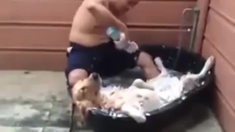 dog enjoying bath