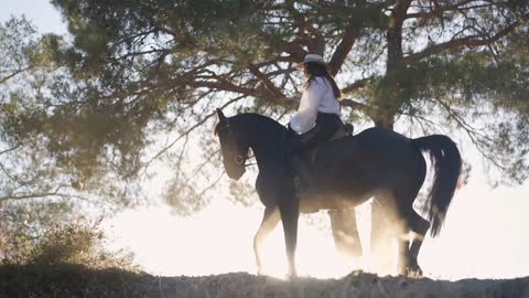 Graceful horse turning in sunshine standing on hill with rider on back