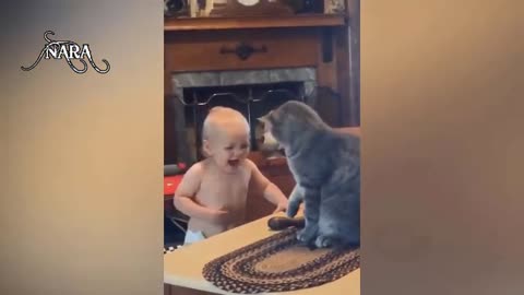 funny cat and baby