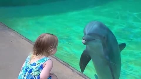 Through the aquarium glass, a young girl's eyes meet those of a playful dolphin.