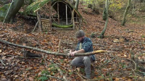 Jungle Survival Mastery: Building an Epic Shelter in 7 Days - A Sculpture From Old Trees