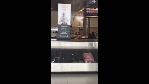 Golden Retriever decides to ride baggage carousel at airport