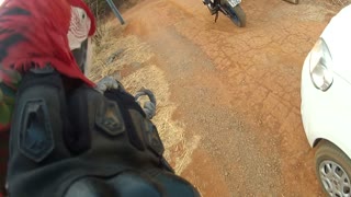 Parrot Flies Along Side Motorcyclist
