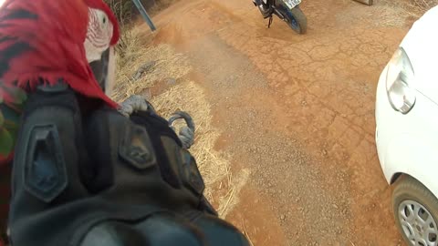 Parrot Flies Along Side Motorcyclist