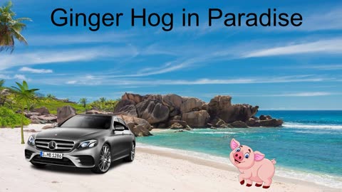 Ginger Hog in Paradise featuring/ MRFOURKAY #disstrack