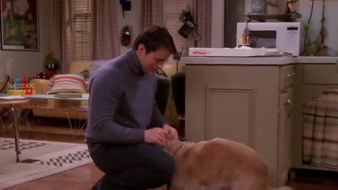 Phoebe Gets Joey a Dog ｜ Friends