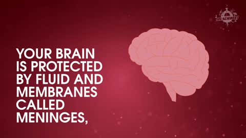 What Do Concussions Do To Your Brain