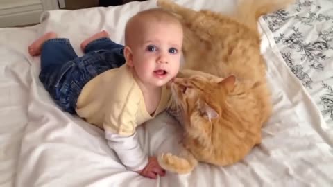 Meeting Babies for the FIRST time- Cat