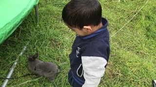 Cute Toddler Singing to Adorable Bunny