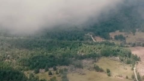 Aerial view of a wooded landscape with a road