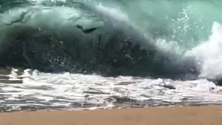 Red boogie board accidentally rides waves into beach faceplants