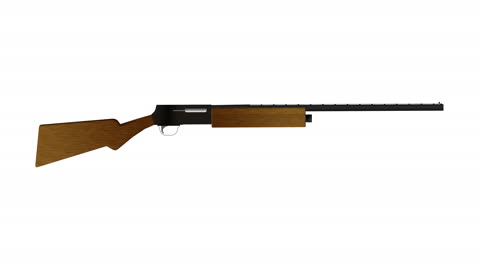 Browning Auto 5 (Side View)