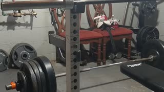 445 x 1 deadlift with straps and belt