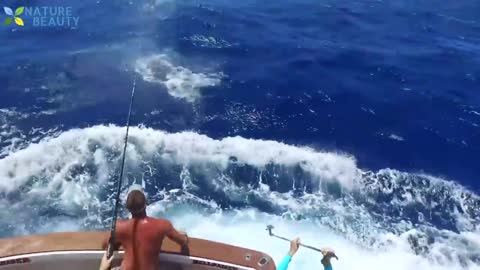 Top 5 Big Fish Caught in The Sea are Recorded By Cameras - Amazing Fishing Skills,
