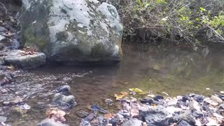 Boulder Creek Trickling Babbling Sounds of Water Flowing ASMR Relaxation Giant Rock Nature zz Peace