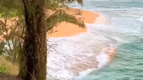 The magical world of nature in the Hawaii. Волшебный мир природы на Гавайях.