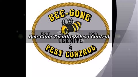 Bee-Gone Termite & Pest Control - (732) 307-0558