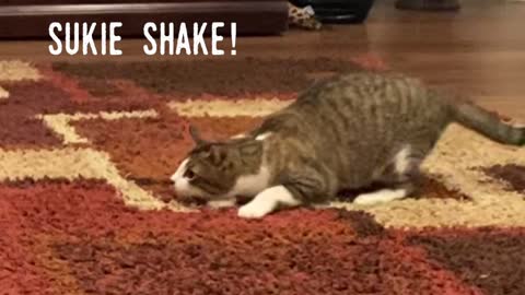 Sukie Shake!