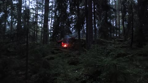 Camping in RELAXING RAIN🍂The Rainy Autumn Forest of Finland