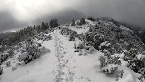 Hiking And Running! Skyline California