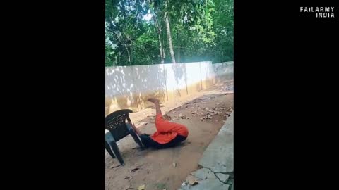 Funny Fails Compilation 2022 | Indian Fun