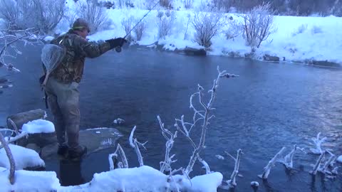 Winter Trout Fishing in Colorado