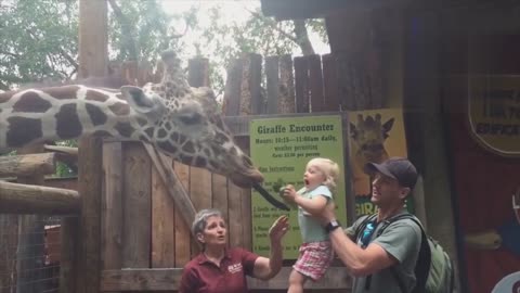 FORGET CATS! Funny KIDS vs ZOO ANIMALS are WAY FUNNIER! - TRY NOT TO LAUGH ll PART~3