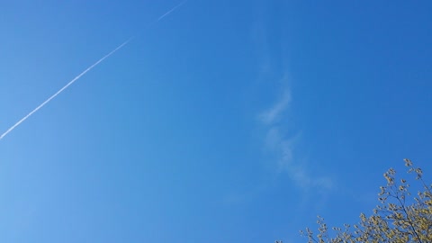 Chemtrail spotted over Toronto freedom rally, May 14, 2022