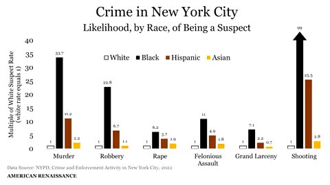 Real Crime Stats of NYC
