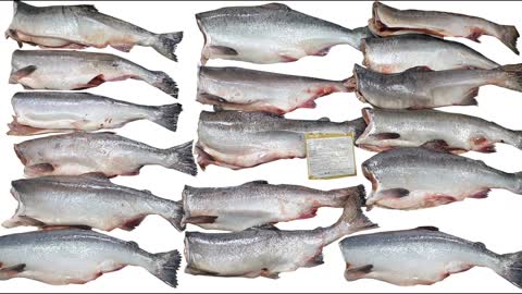 Pink Salmon H/G, Oncorhynchus gorbuscha, Горбуша ПБГ, 粉红鲑鱼, カラフトマス