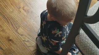 Toddler Takes a Roomba Ride