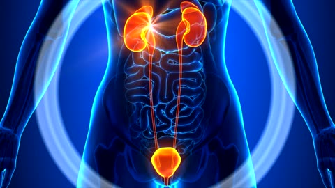 Healthy Urinary System - Healing Subliminal