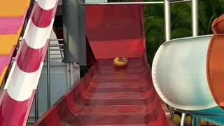 Look How Happy He Is | Best Water Slide Ever! | Waterpark Fun | Koh Chang | Thailand