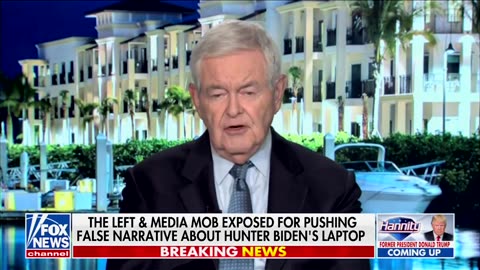Gingrich Draws Concerns Over Dems Becoming More 'Radical And Dangerous'