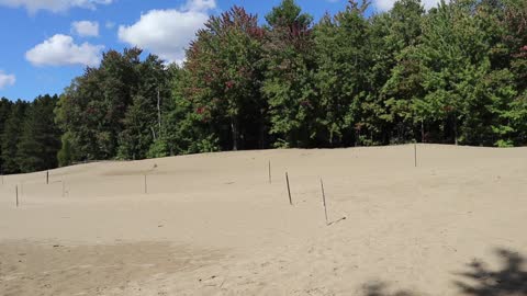 The Pinhey Sand Dunes.........Ottawa's Golden Sand Dunes