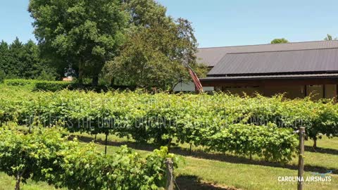 Douglas Vineyards Kannapolis NC