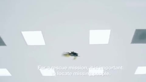 robotic insects