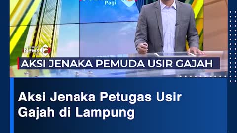 Aksi Jenaka Petugas UsirGajah di Lampung