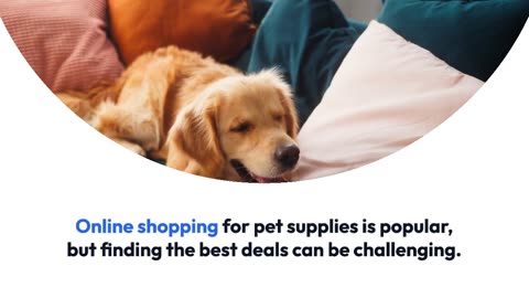 Pets Supplies Online Store - Chew N Play