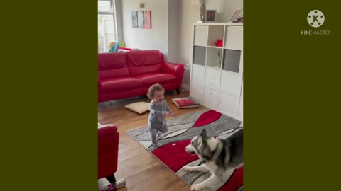 Dogs & baby best friends play tug-of-war