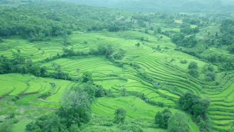 Indonesian rural nature background