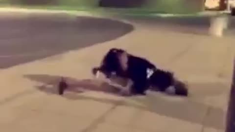 Skateboard fail!