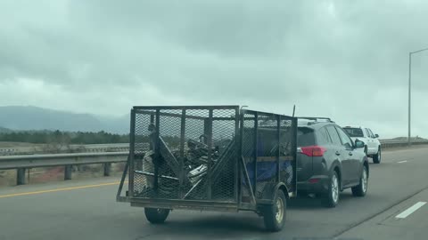 This poor terrified dog trapped under trash in an open trailer