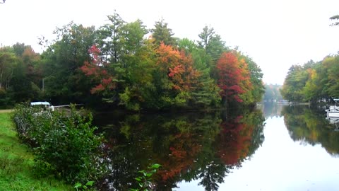 Fall Foliage