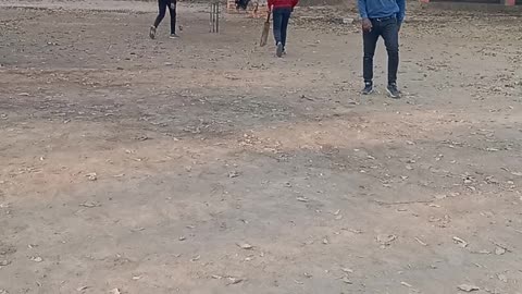 Desi cricket