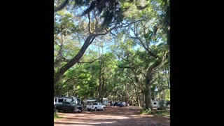 Jekyll Island, GA., Campground